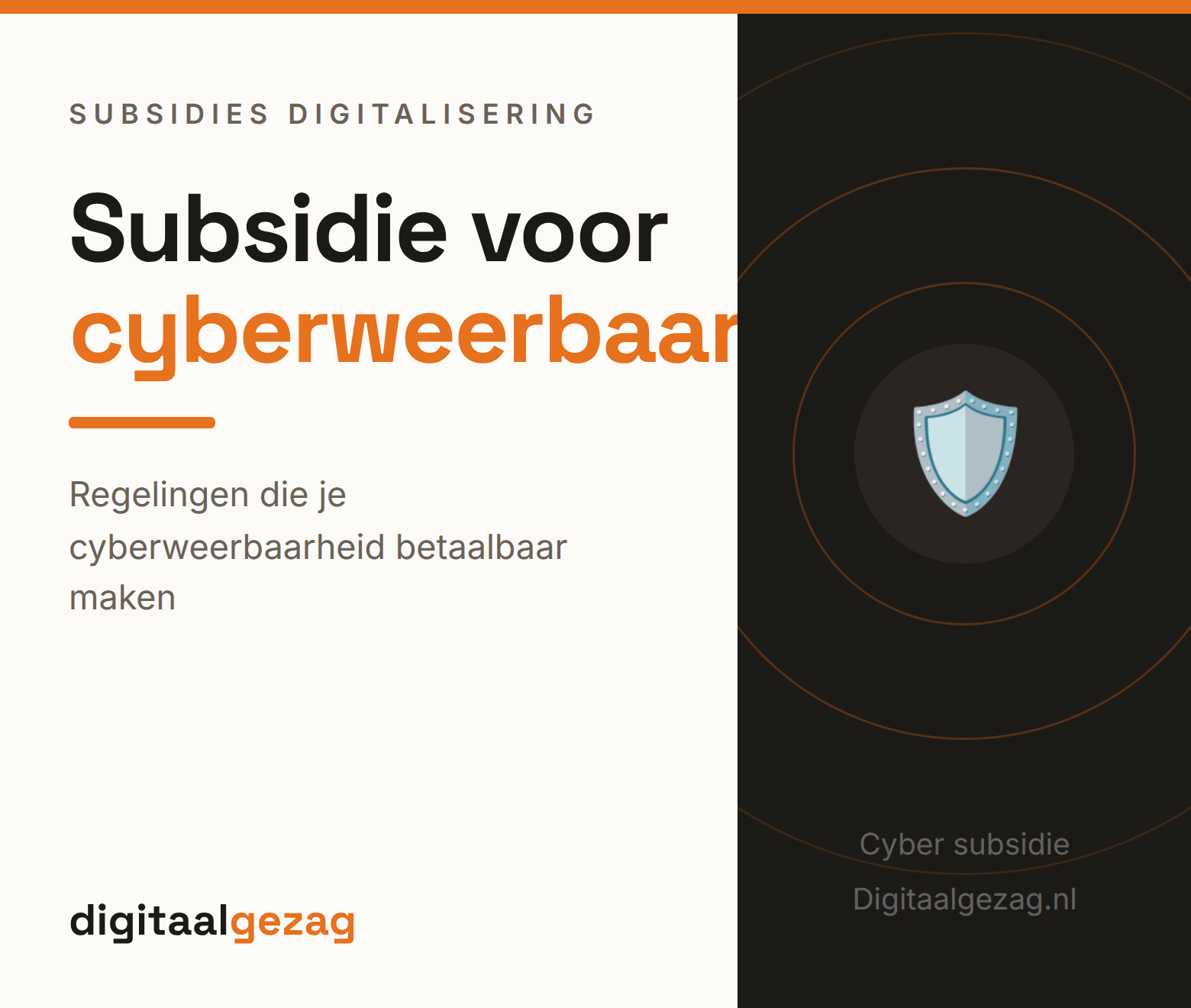 MKB-ondernemer die een cyberweerbare subsidie aanvraagt voor extra digitale beveiliging