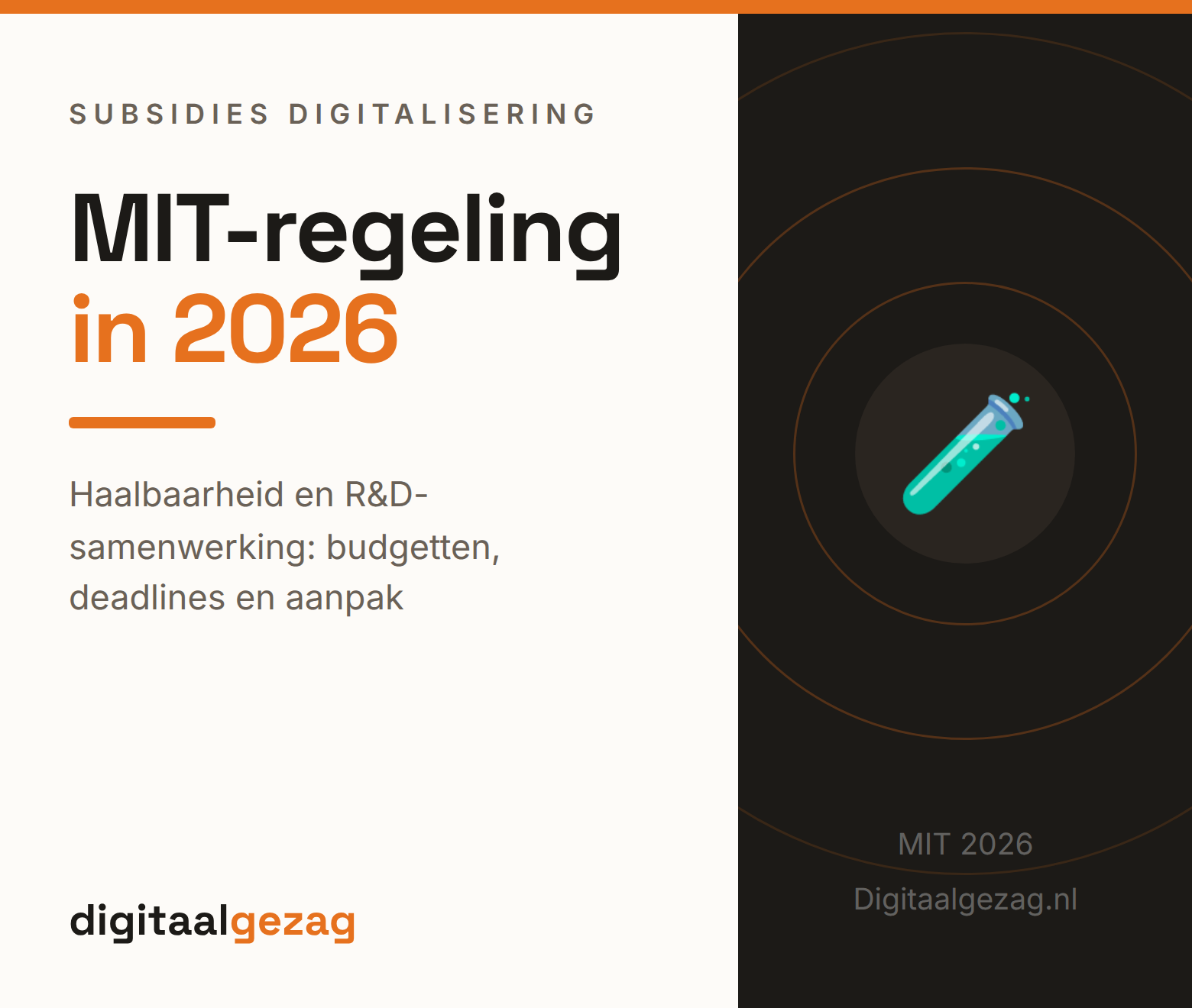 Ondernemer vergelijkt MIT R&D samenwerking en haalbaarheid voor aanvraag 2026